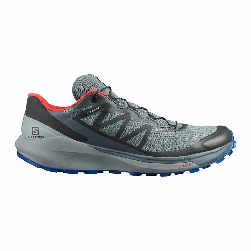 Zapatillas De Running Salomon Hombre Azules Oscuro / Negras - Salomon Argentina SENSE RIDE 4 GORE-TE